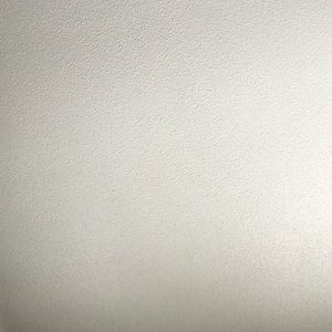 Meet your Posher, Conner